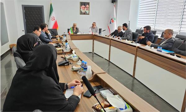 کارگروه بهداشت بنیاد شهید و امور ایثارگران جهت رسیدگی به تعهدات بیمه دی تشکیل جلسه داد